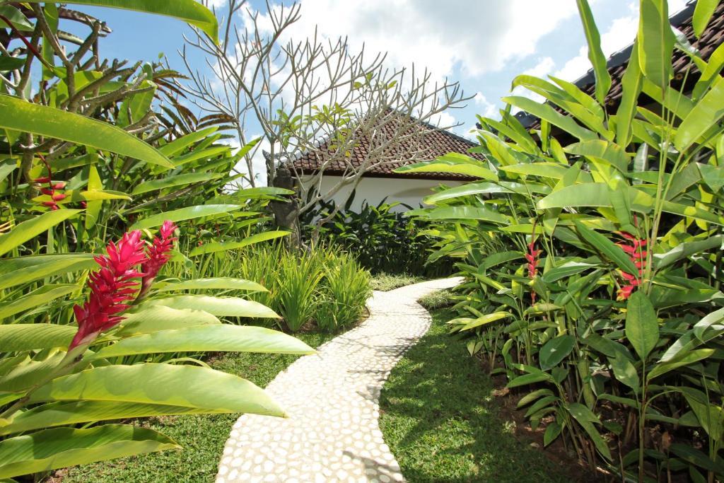 우붓 Sunset Hill B&B 객실 사진